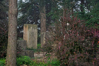 Grave Stones