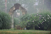 Temple Stones