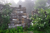 The Wedding House