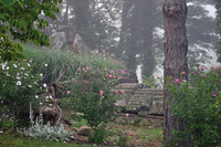 Temple Stones