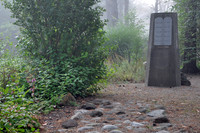Stumbling Stones / Message Stones