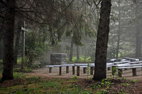Stone Garden