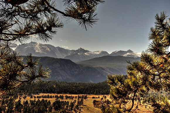 DSC_2015_tonemapped