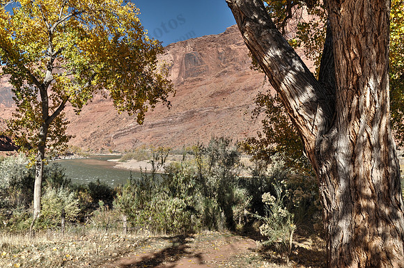 DSC_1351_tonemapped