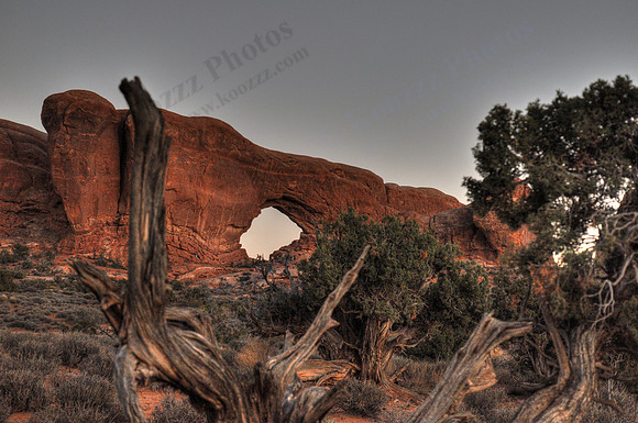 DSC_1578_tonemapped