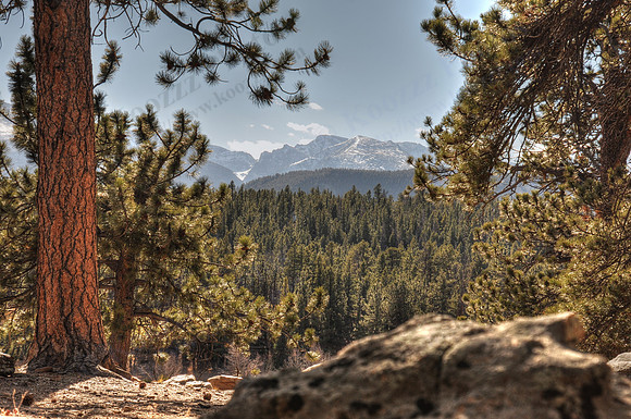DSC_2033_tonemapped