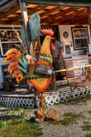 DSC_9906_tonemapped