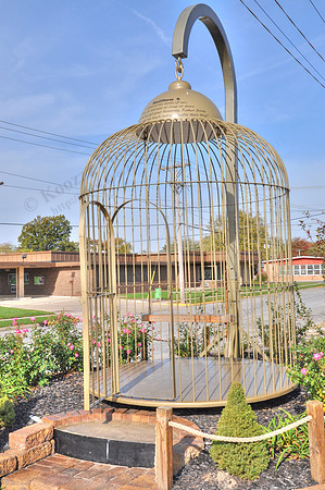 DSC_9726_Smooth 3