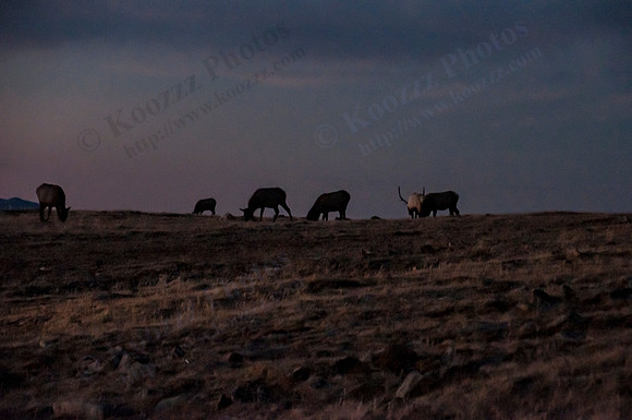 DSC_1705_edit