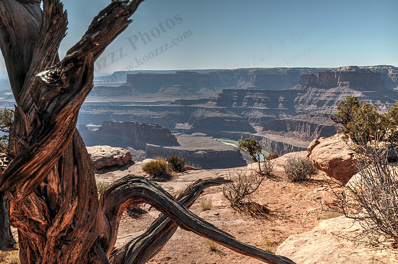 DSC_1240_tonemapped