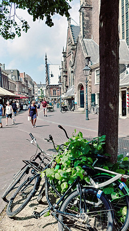 Haarlem, Netherlands