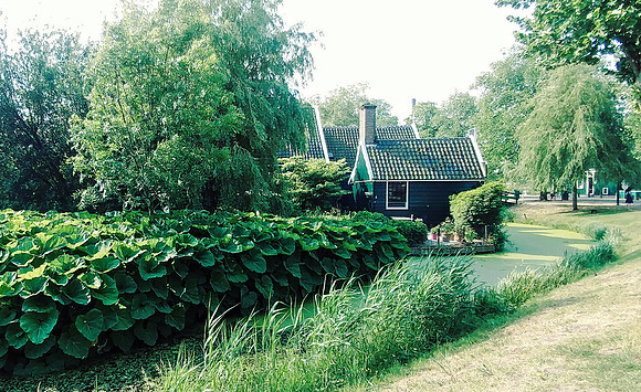 Zaanse Schans