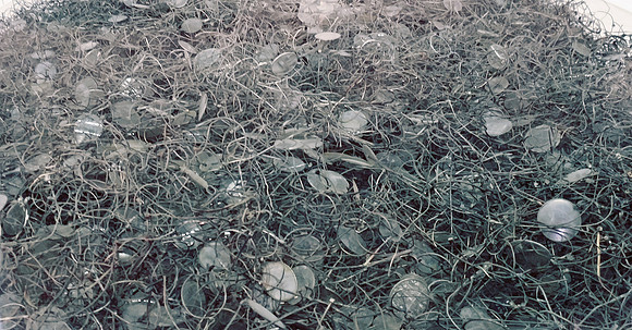 Auschwitz / Bernkenau