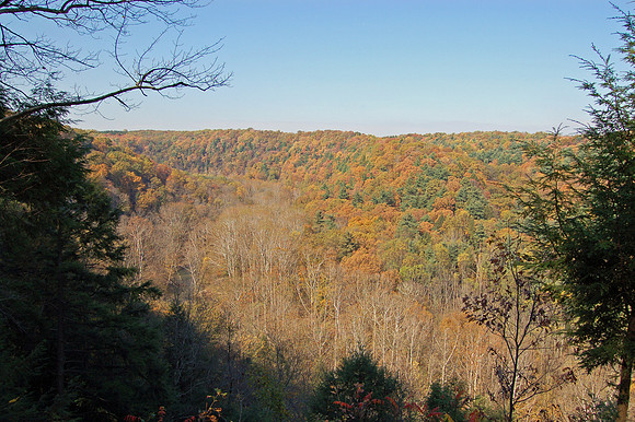 Mohican State Park Ohio