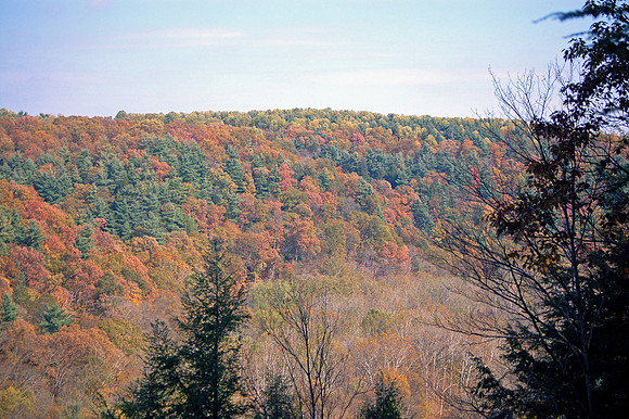 Mohican State Park Ohio