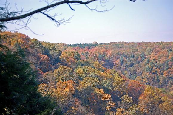 Mohican State Park Ohio