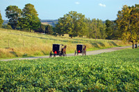 Amish Buggies, Eastern Knox County Ohio