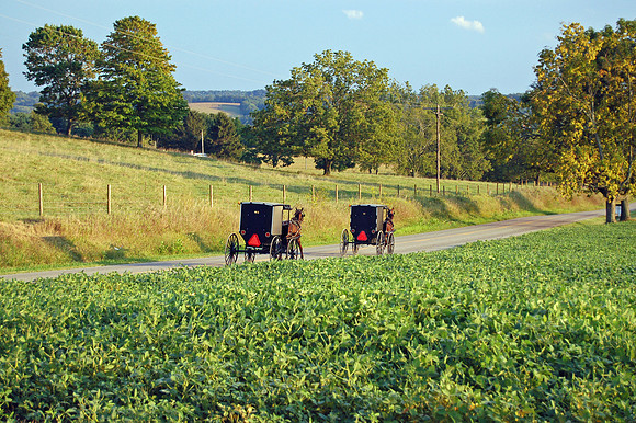 Amish Buggies, Eastern Knox County Ohio
