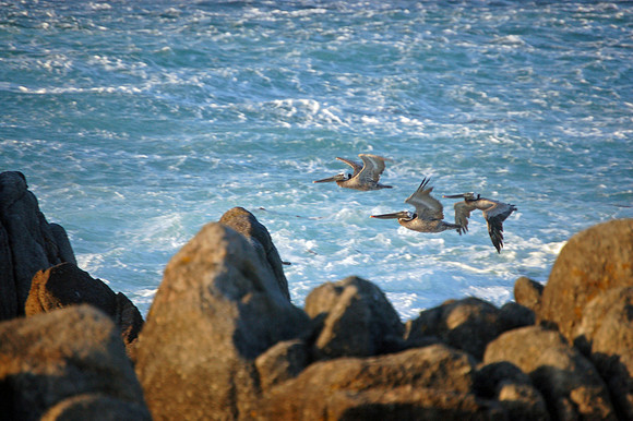 Pacific Grove, California