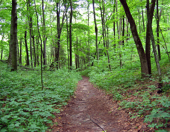 Old Indian Trail, Sleeping Bear Dunes, Michigan
