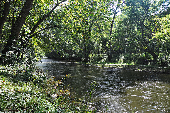 Kokosing River