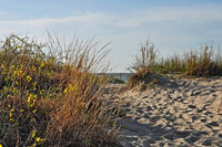 North Shore (Lake Erie)