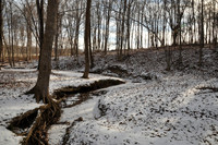 11_DSC_7026