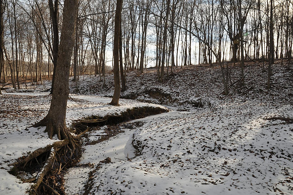 11_DSC_7026