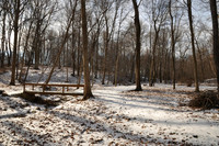 12_DSC_7031
