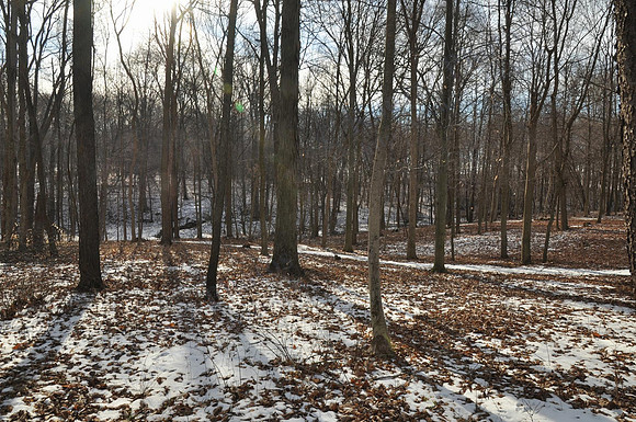 10_DSC_7023