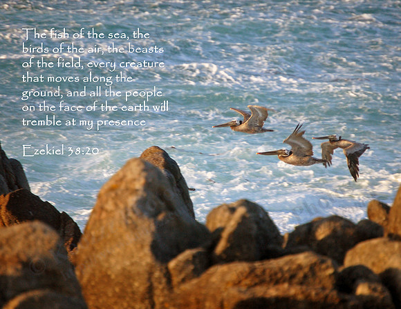 Pacific Grove, California