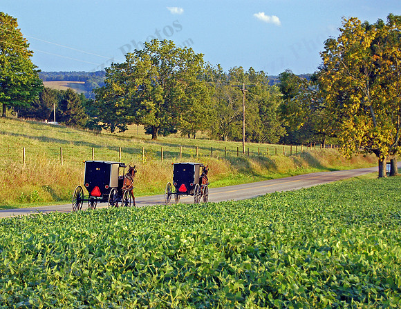 Amish Buggies, Eastern Knox County Ohio