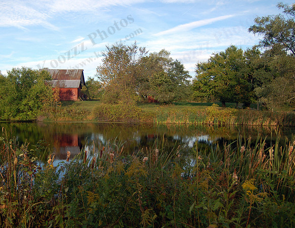 Mazza Farm, Brandon, Ohio