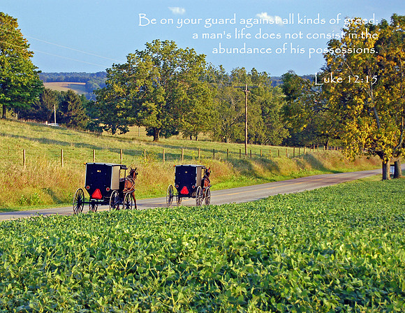Amish Buggies, Eastern Knox County Ohio