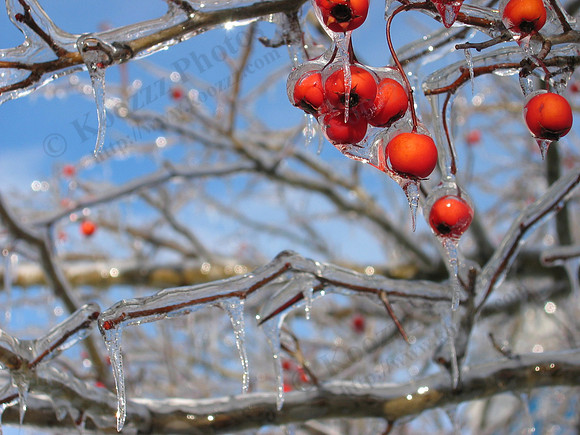 Ice Storm