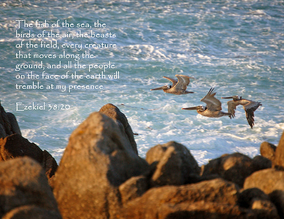 Pacific Grove, California