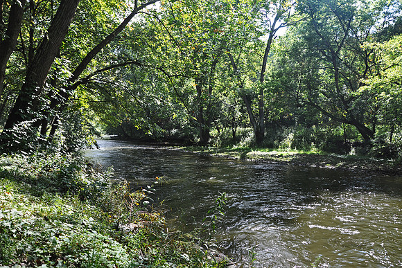 Kokosing River