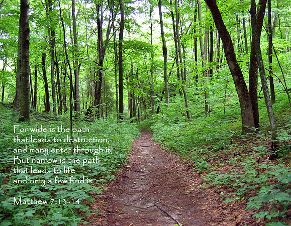 Old Indian Trail, Sleeping Bear Dunes, Michigan