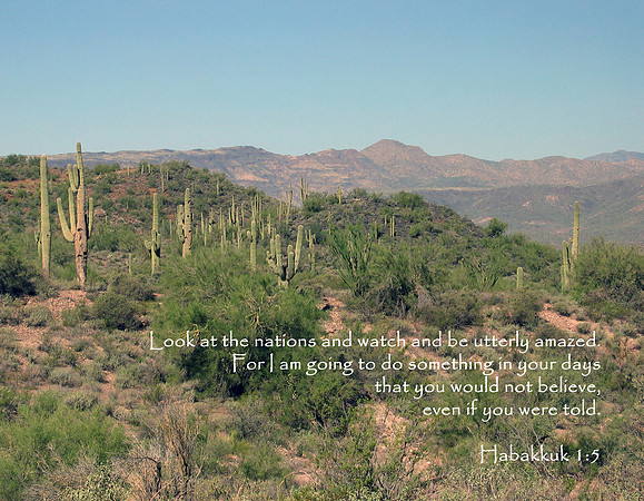 Arizona Desert North of Phoenix