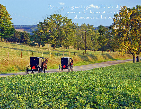 Amish Buggies, Eastern Knox County Ohio