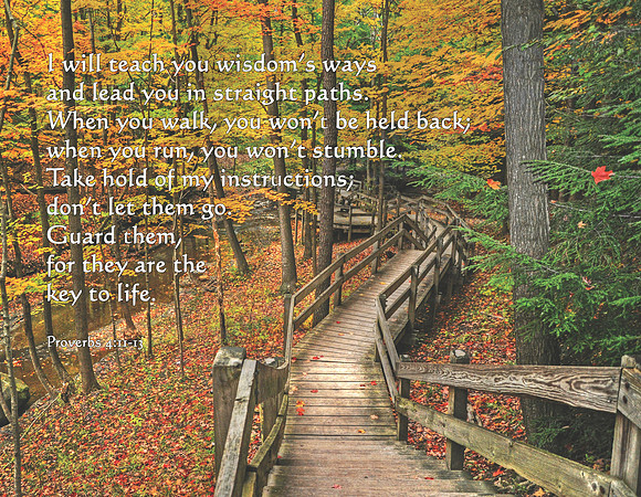 Cuyahoga National Park