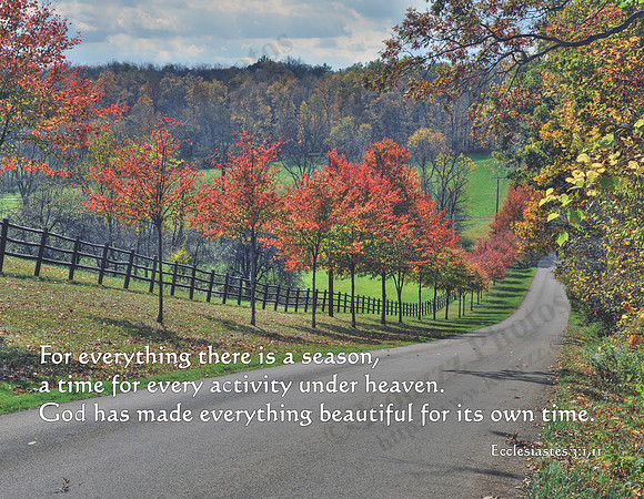 Laymon Road, Knox County