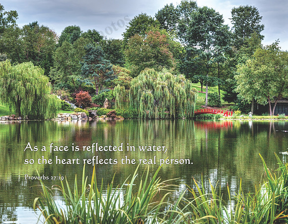 Schnormeier Gardens, Knox County