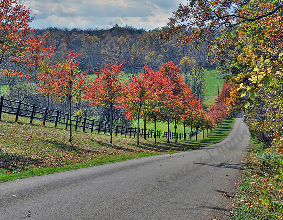 Laymon Road, Knox County