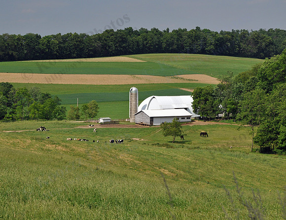 05 - Amish Farm In Pike Township