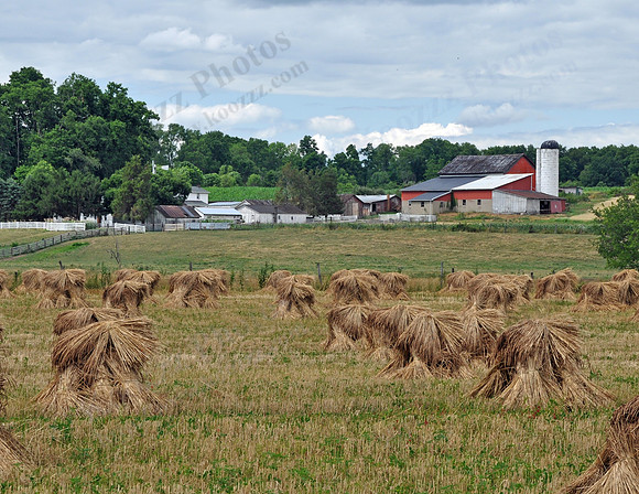 10 - Amish Farm Near Waterford, Ohio