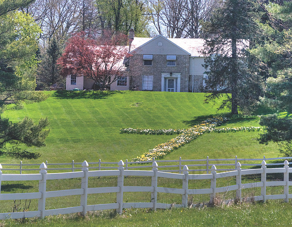 04 Daffodil Cross - Mount Vernon OH