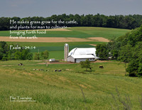05 - Amish Farm In Pike Township