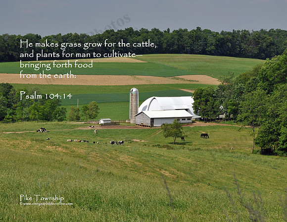 05 - Amish Farm In Pike Township