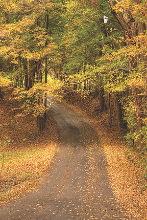 armentroutRoad - VERTICAL2-24x36